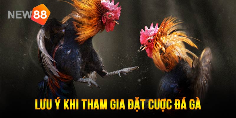 Lưu ý khi tham gia