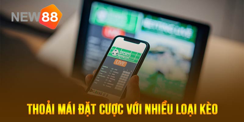 Thoải mái đặt cược đa dạng các loại kèo, tỷ lệ cá cược tại sân chơi