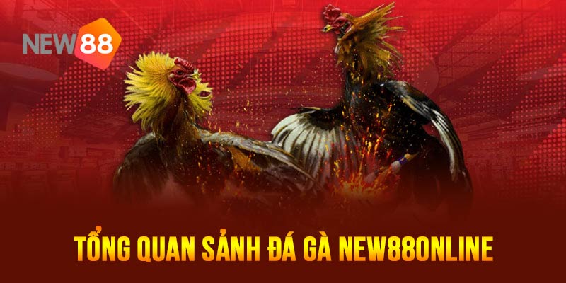 Tổng quan sân chơi Đá gà tại New88online